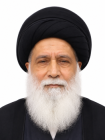 استاد محمدرضا تبریزی