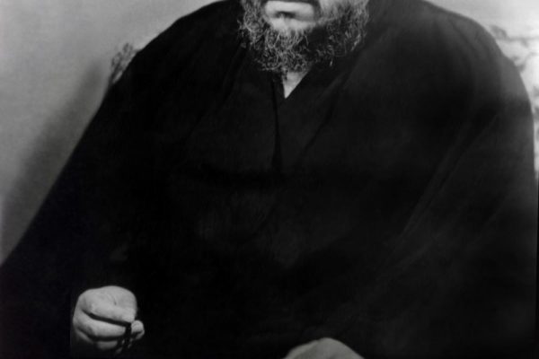پرتره53